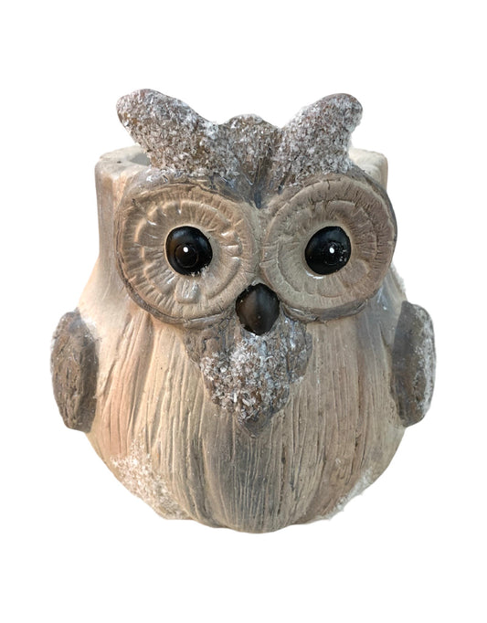 Ollie Owl Ceramic Wood Pot