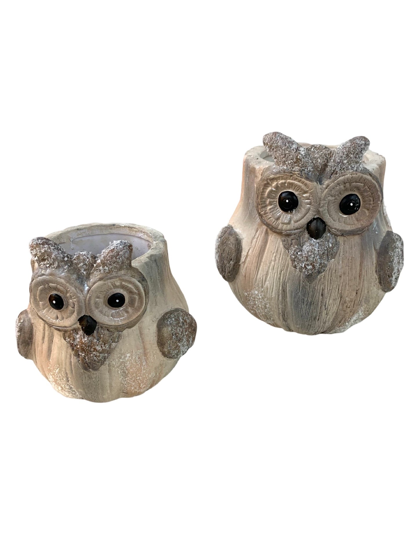 Ollie Owl Ceramic Wood Pot