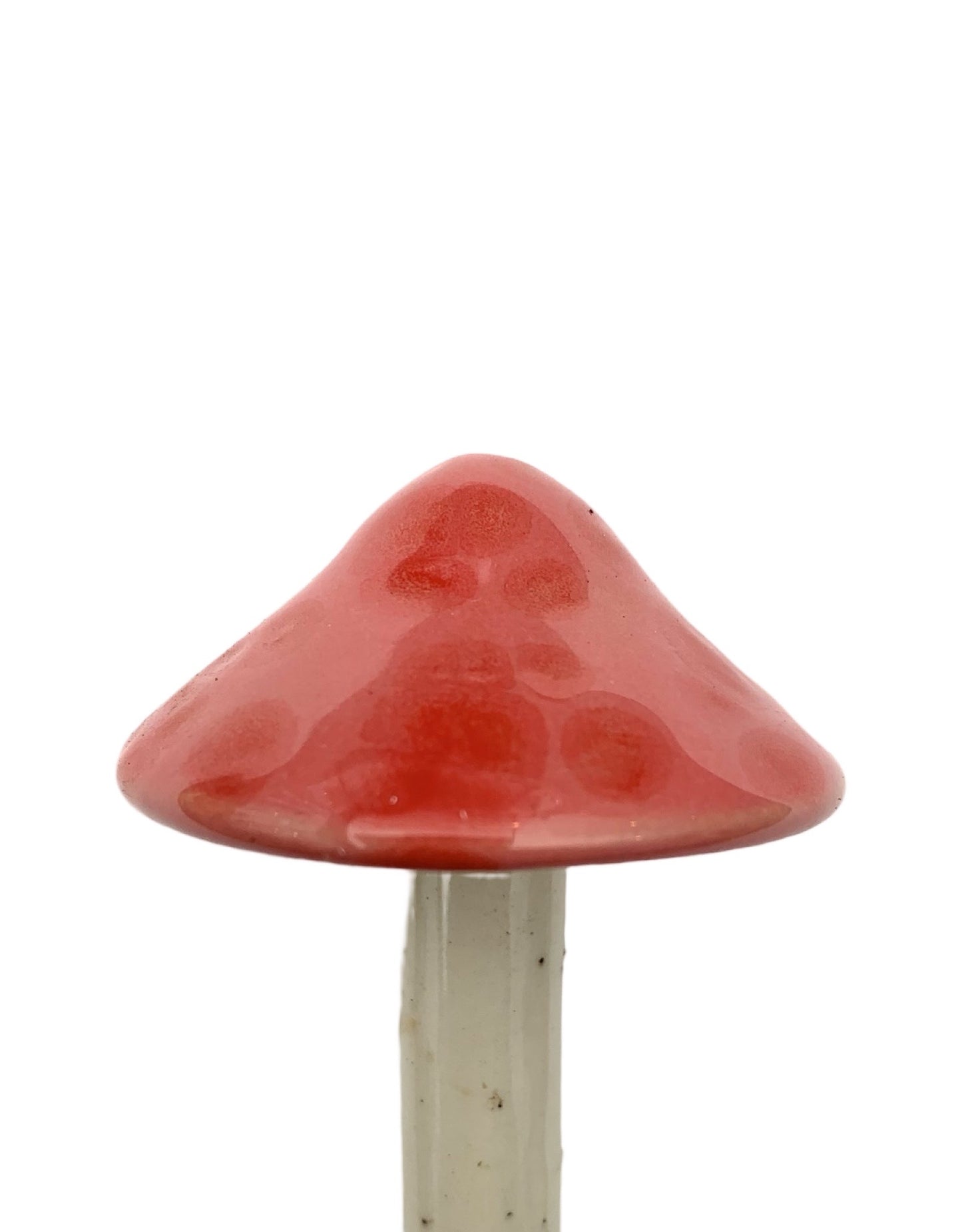 Ceramic Mushroom