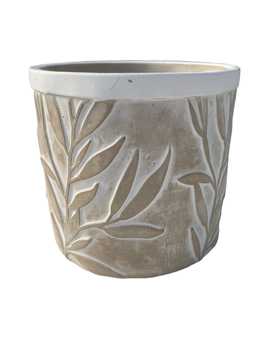 Cement Acadia Olive Leaf Pot