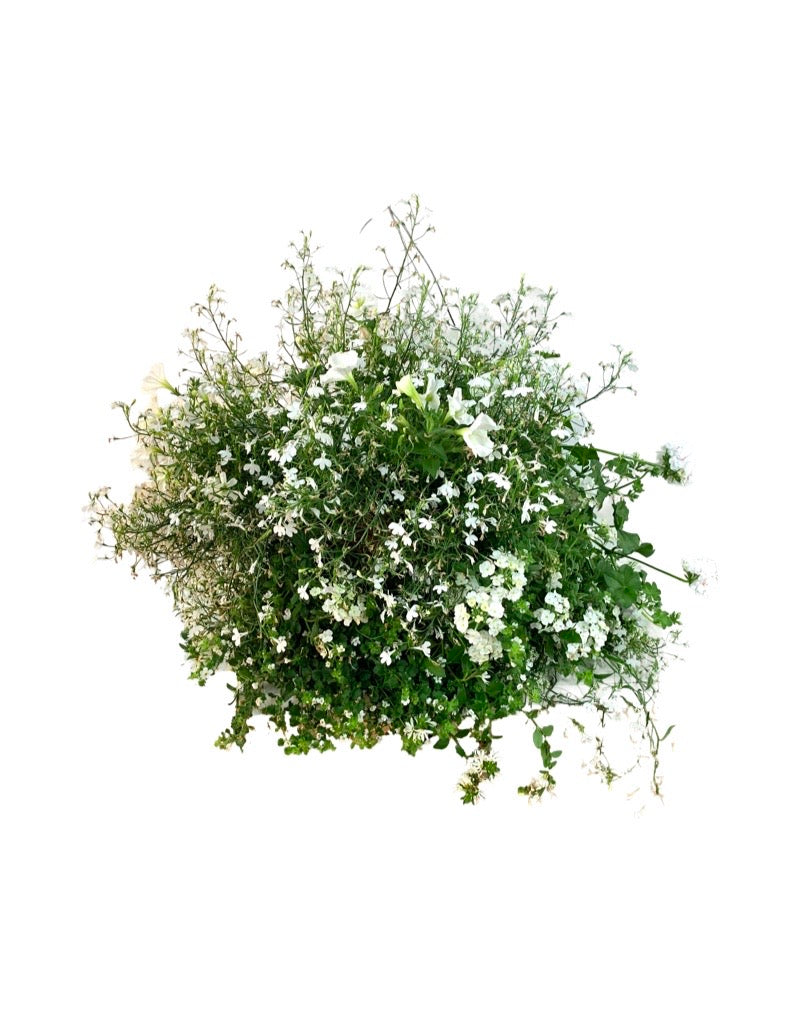 Moss Basket White Wedding