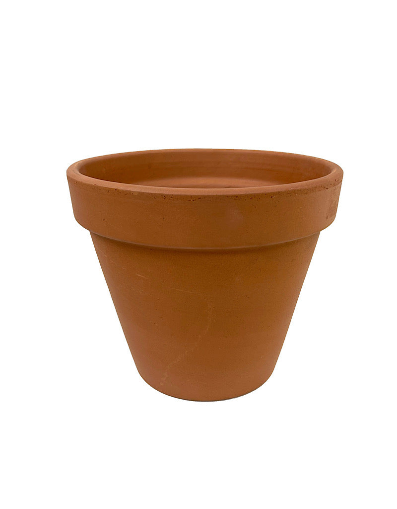 Pot Terracotta Standard