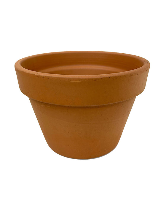 Azalea Terra Cotta Pot