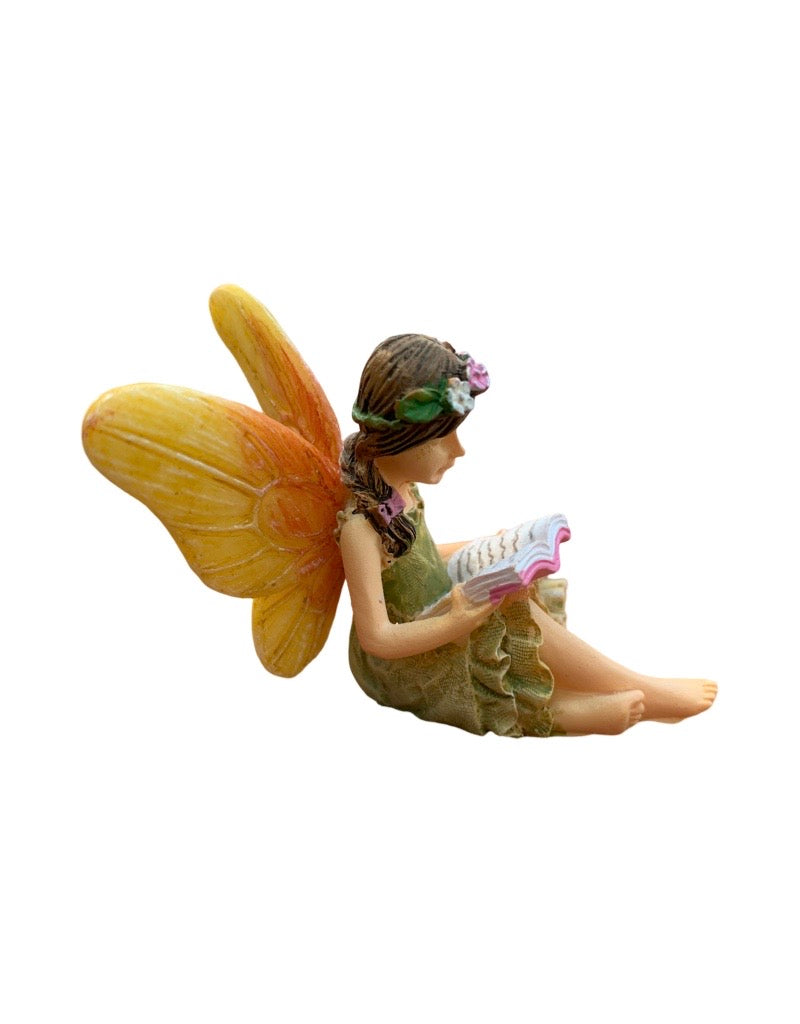 Fairy Reading