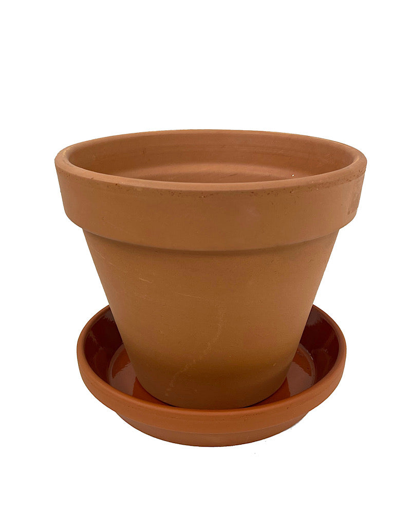 Glazed Terra Cotta Saucer