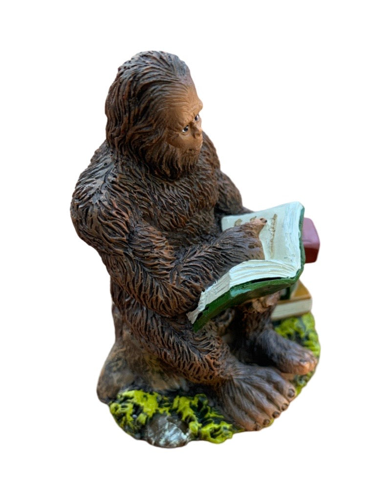 Fairy Sasquatch Reading