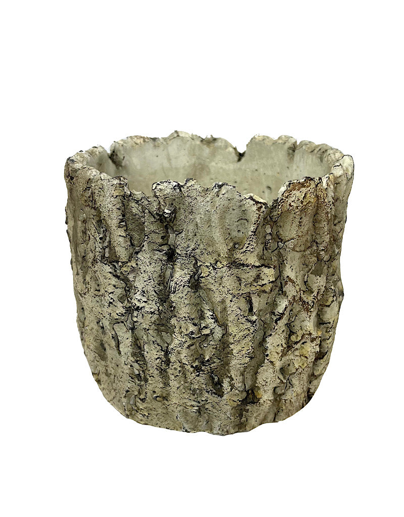 Log Pot 6 Inch