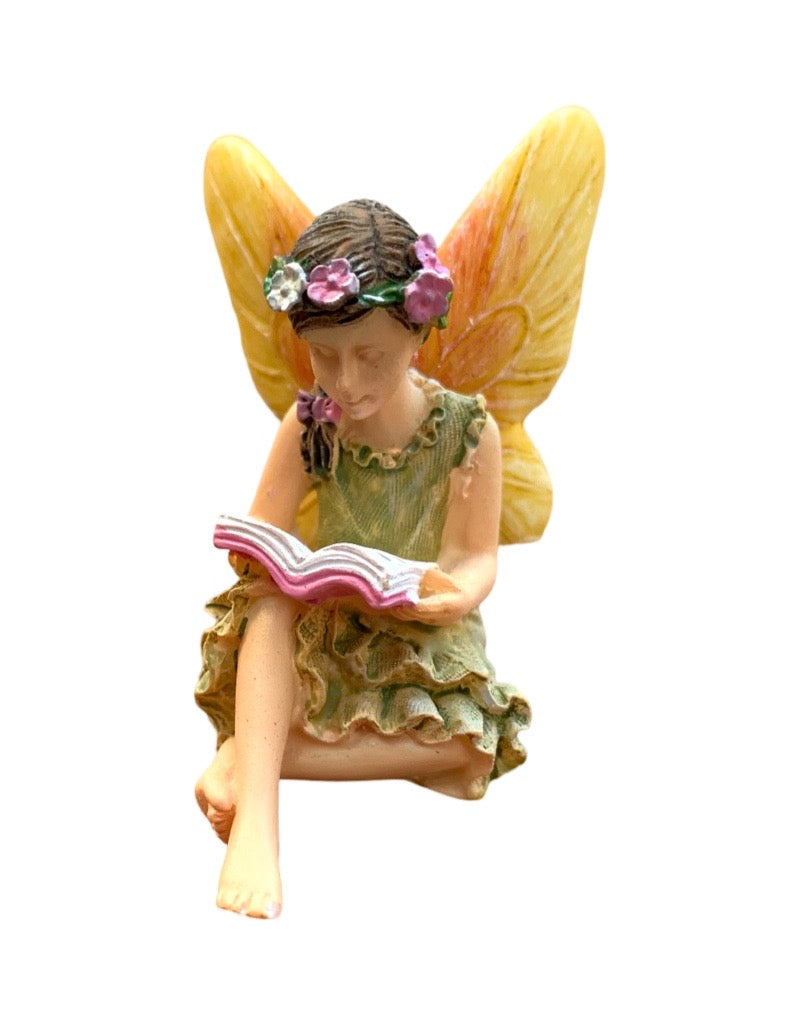 Fairy Reading