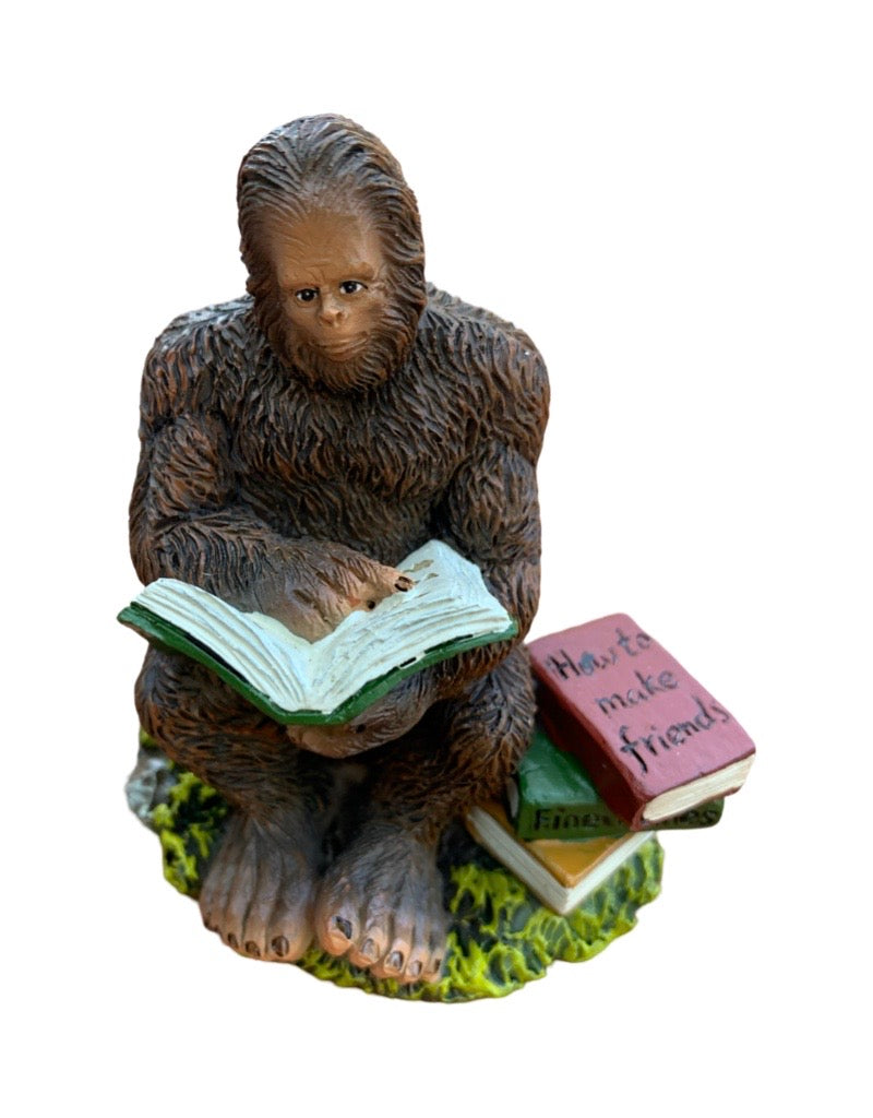 Fairy Sasquatch Reading