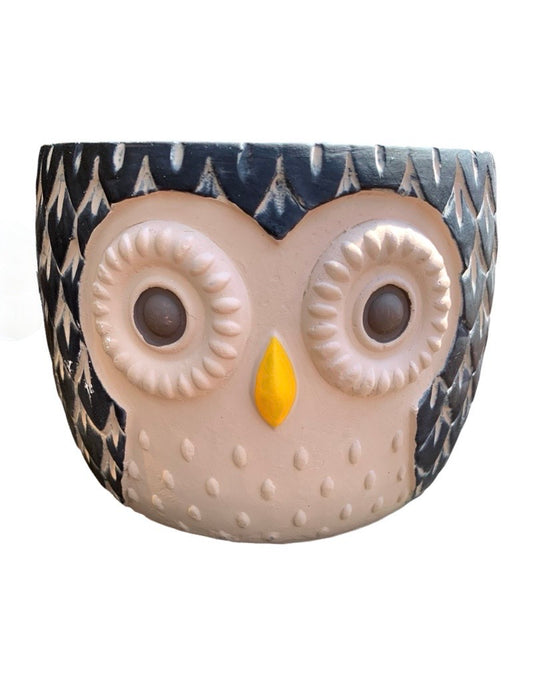 Hootie Owl Pot