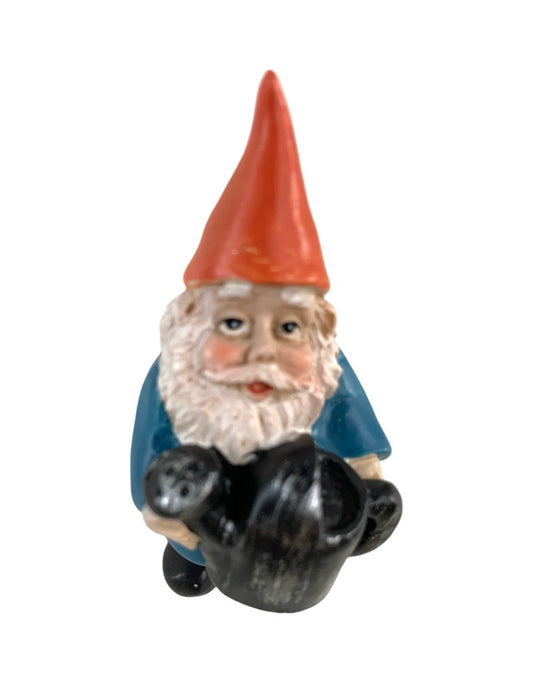 Tiny Single Gnome