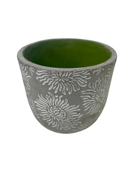 Sun Cement Pot W/Green Inside