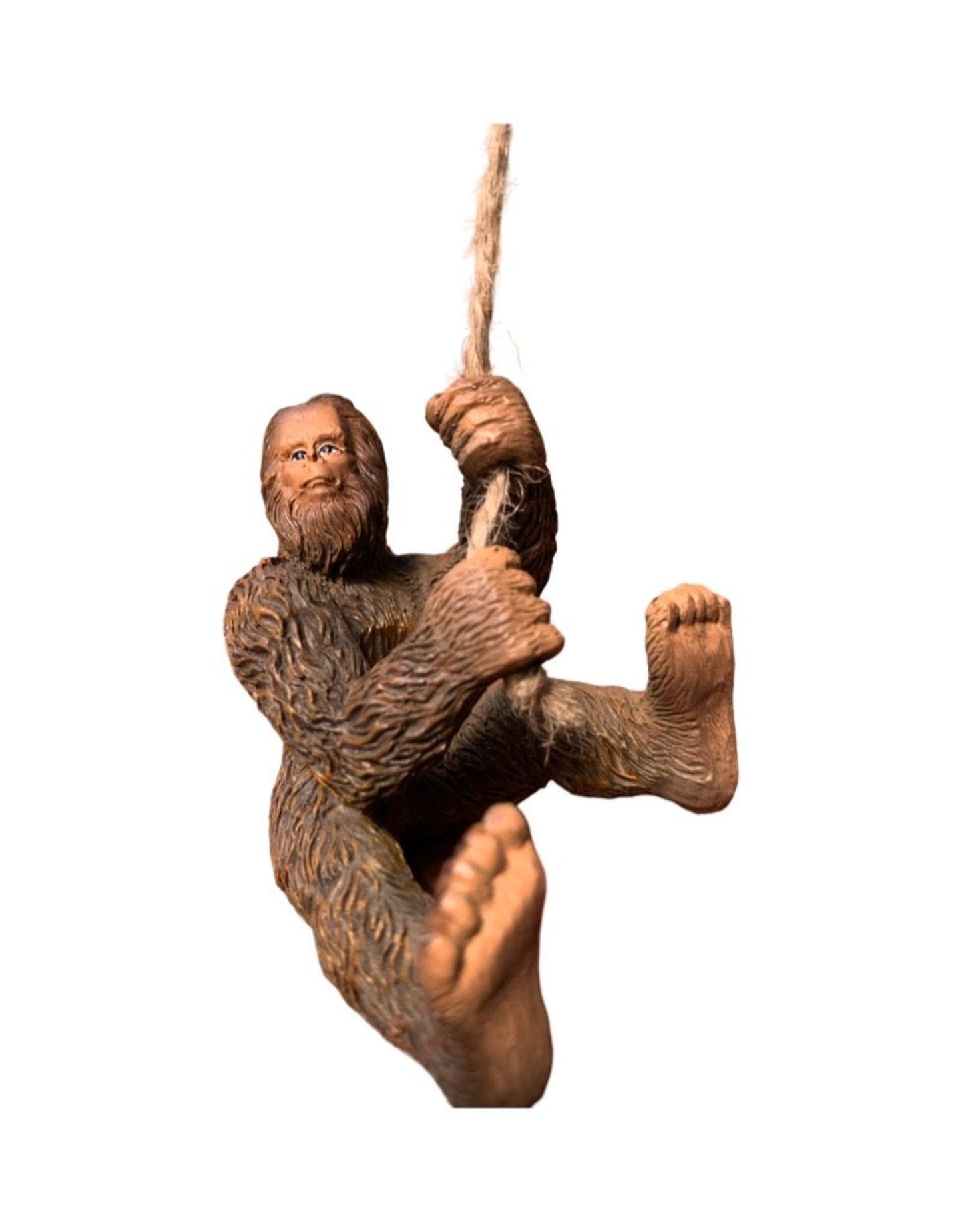 Fairy Sasquatch Rope Climb